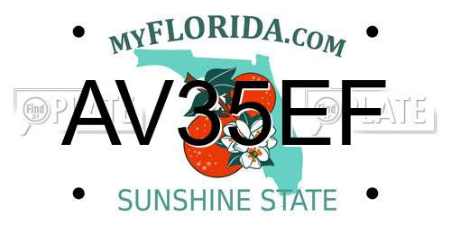 AV35EF Florida License Plate