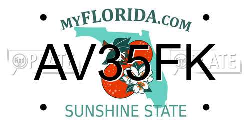AV35FK Florida License Plate