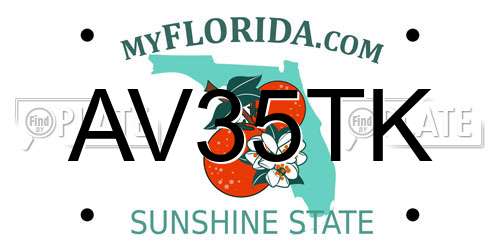 AV35TK Florida License Plate