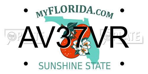 AV37VR Florida License Plate