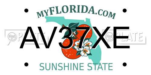 AV37XE Florida License Plate