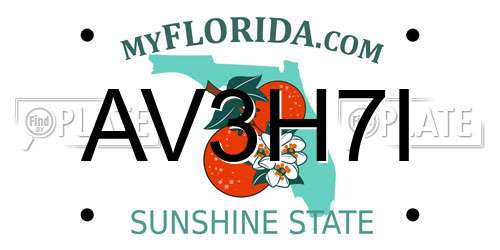 AV3H7I Florida License Plate