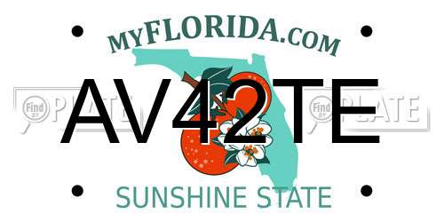AV42TE Florida License Plate