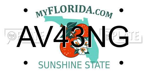 AV43NG Florida License Plate