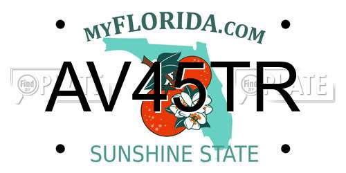 AV45TR Florida License Plate