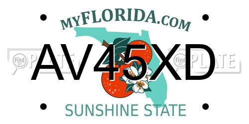 AV45XD Florida License Plate