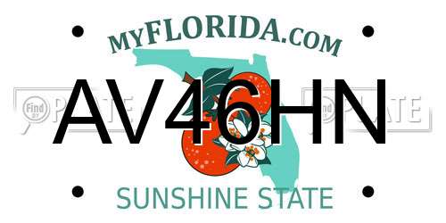 AV46HN Florida License Plate