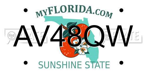AV48QW Florida License Plate