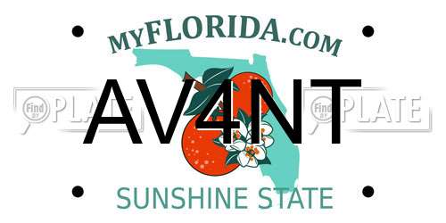 AV4NT Florida License Plate