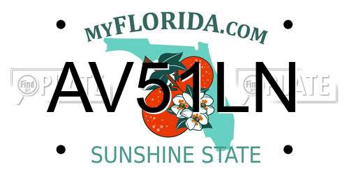 AV51LN Florida License Plate