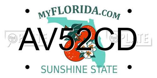 AV52CD Florida License Plate