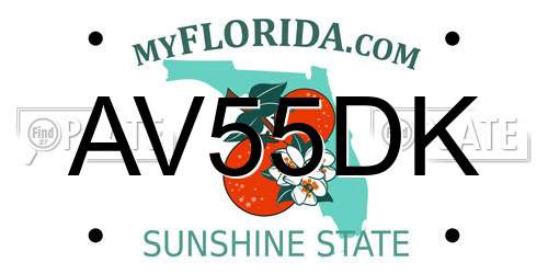 AV55DK Florida License Plate