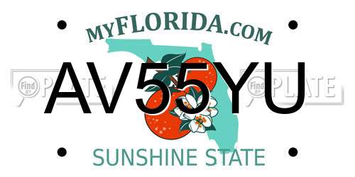 AV55YU Florida License Plate