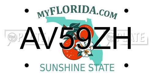 AV59ZH Florida License Plate