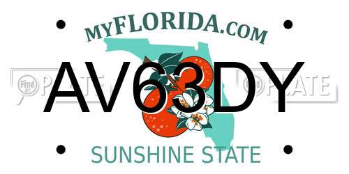 AV63DY Florida License Plate
