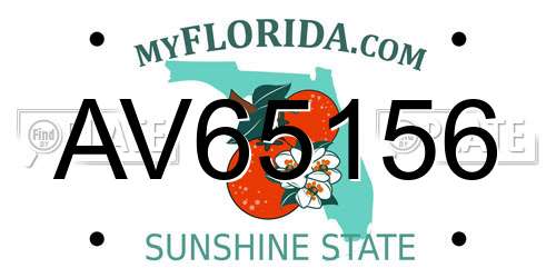 AV65156 Florida License Plate