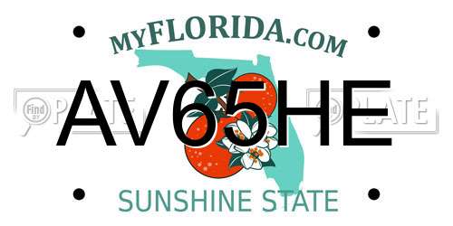 AV65HE Florida License Plate
