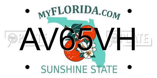 AV65VH Florida License Plate