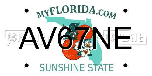 AV67NE Florida License Plate