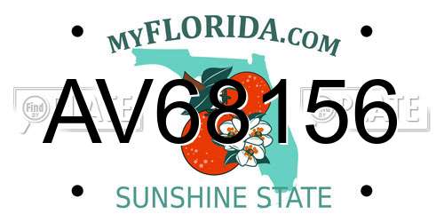 AV68156 Florida License Plate