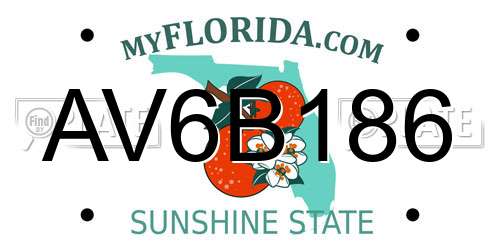 AV6B186 Florida License Plate