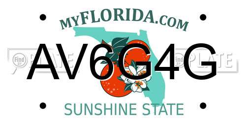 AV6G4G Florida License Plate