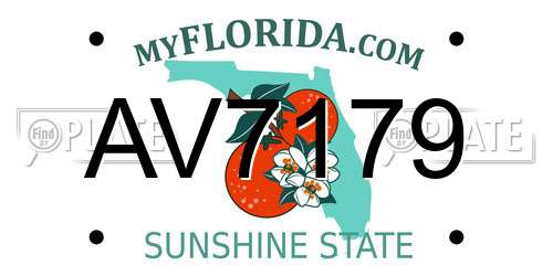 AV7179 Florida License Plate