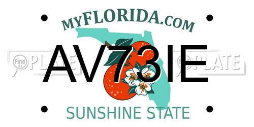 AV73IE Florida License Plate