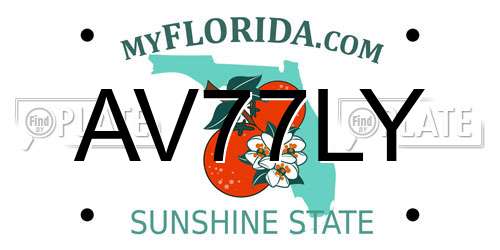 AV77LY Florida License Plate