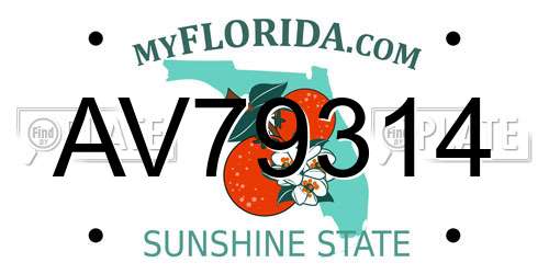 AV79314 Florida License Plate