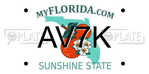 AV7K Florida License Plate
