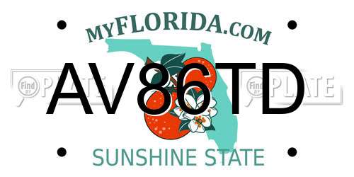 AV86TD Florida License Plate