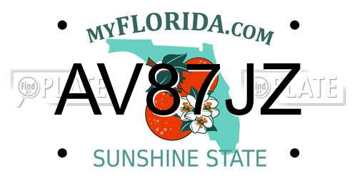 AV87JZ Florida License Plate