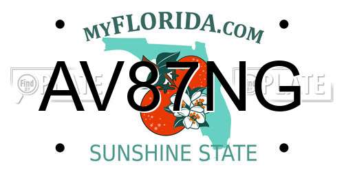 AV87NG Florida License Plate