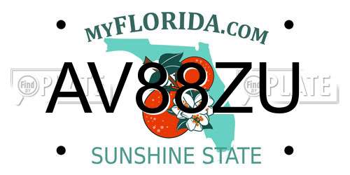 AV88ZU Florida License Plate