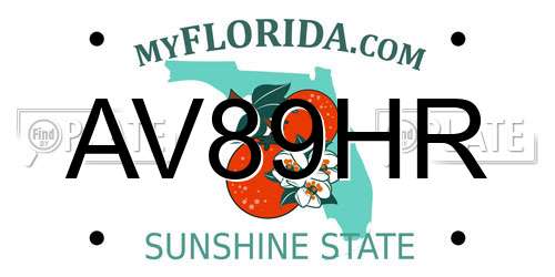 AV89HR Florida License Plate