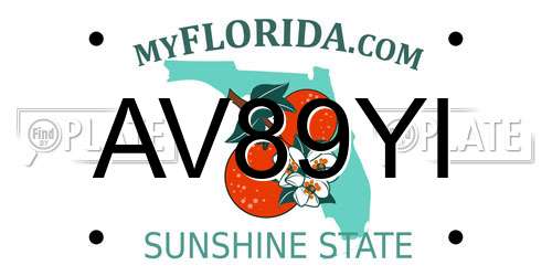 AV89YI Florida License Plate