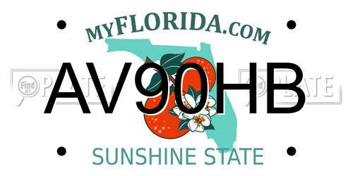 AV90HB Florida License Plate