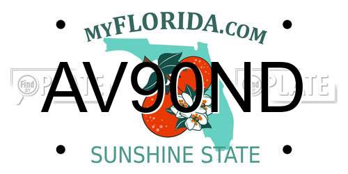 AV90ND Florida License Plate