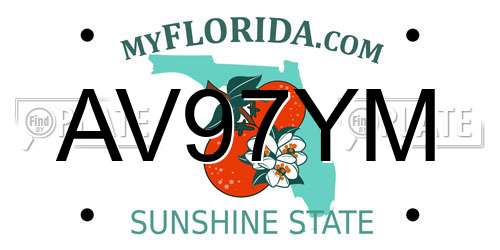 AV97YM Florida License Plate