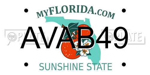 AVAB49 Florida License Plate