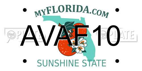 AVAF10 Florida License Plate