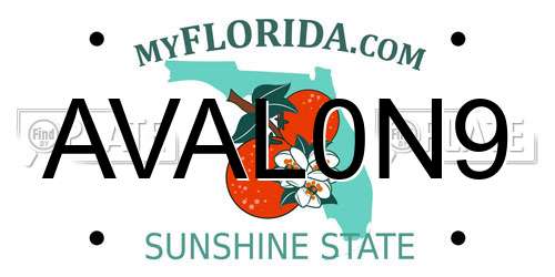 AVAL0N9 Florida License Plate