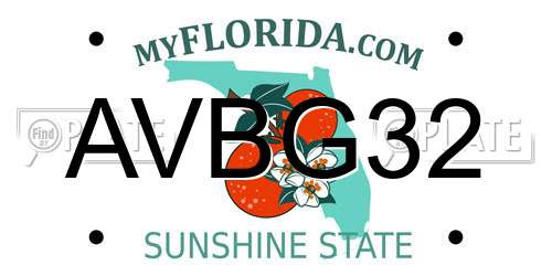 AVBG32 Florida License Plate