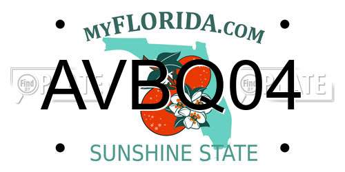 AVBQ04 Florida License Plate