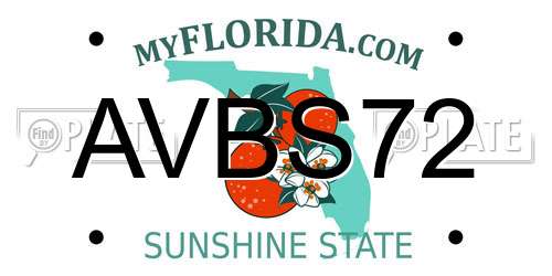 AVBS72 Florida License Plate