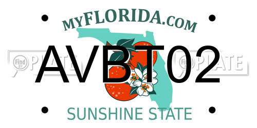 AVBT02 Florida License Plate