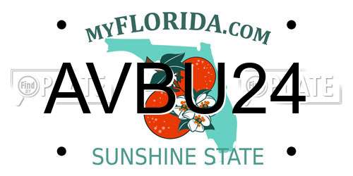 AVBU24 Florida License Plate