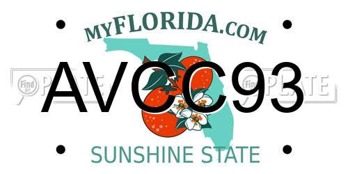 AVCC93 Florida License Plate