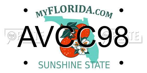 AVCC98 Florida License Plate